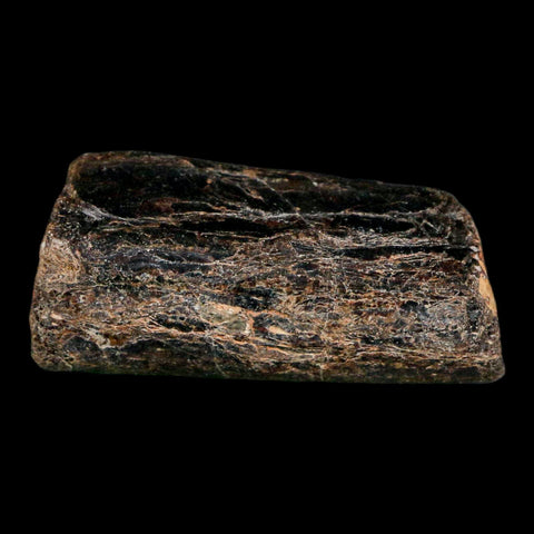 1.9" Mosasaur Fossil Rib Section Cretaceous Dinosaur Era Texas Ozan FM COA - Fossil Age Minerals