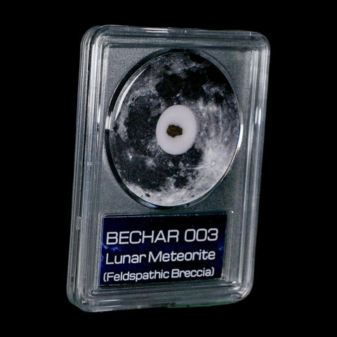 Moon Rock Lunar Meteorite Bechar 003 Algerian Sahara Desert Discovered 2022 COA