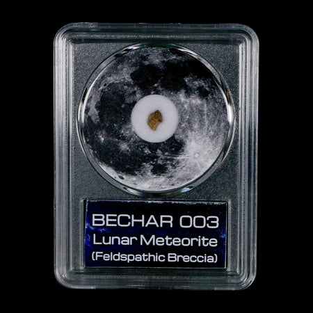 Moon Rock Lunar Meteorite Bechar 003 Algerian Sahara Desert Discovered 2022 COA