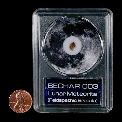 Moon Rock Lunar Meteorite Bechar 003 Algerian Sahara Desert Discovered 2022 COA