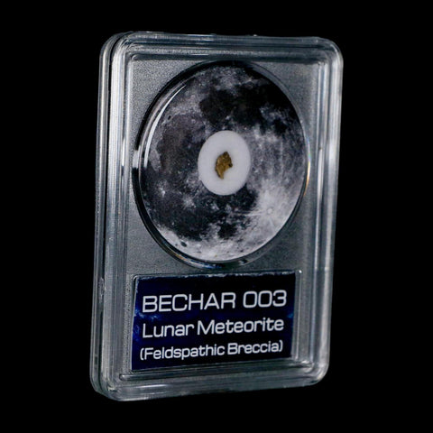 Moon Rock Lunar Meteorite Bechar 003 Algerian Sahara Desert Discovered 2022 COA