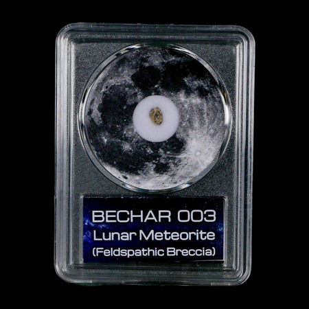 Moon Rock Lunar Meteorite Bechar 003 Algerian Sahara Desert Discovered 2022 COA