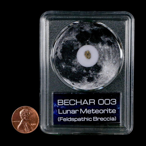Moon Rock Lunar Meteorite Bechar 003 Algerian Sahara Desert Discovered 2022 COA