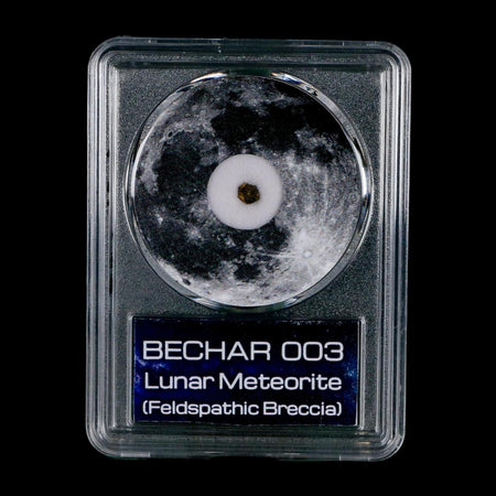 Moon Rock Lunar Meteorite Bechar 003 Algerian Sahara Desert Discovered 2022 COA