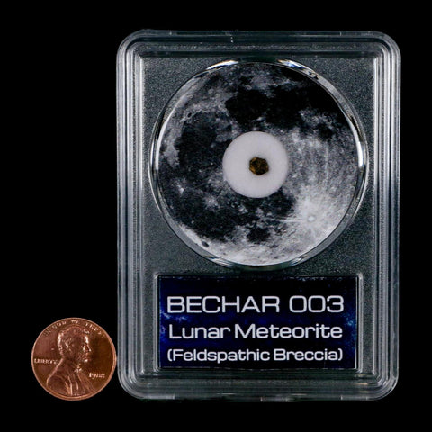 Moon Rock Lunar Meteorite Bechar 003 Algerian Sahara Desert Discovered 2022 COA