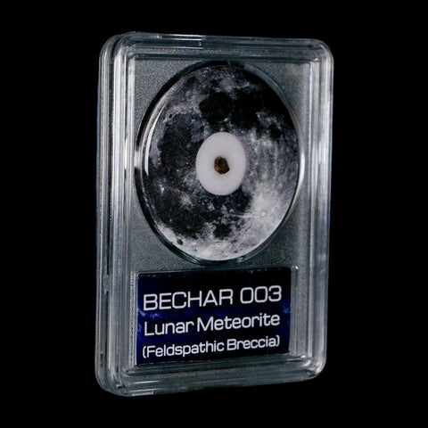 Moon Rock Lunar Meteorite Bechar 003 Algerian Sahara Desert Discovered 2022 COA
