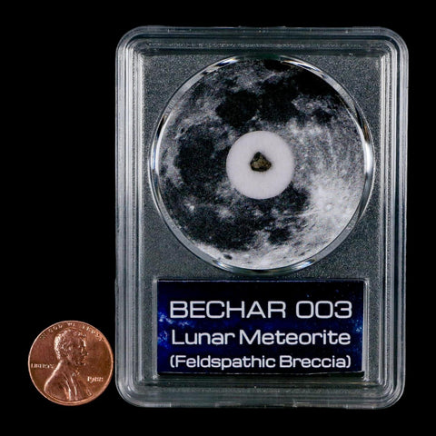 Moon Rock Lunar Meteorite Bechar 003 Algerian Sahara Desert Discovered 2022 COA