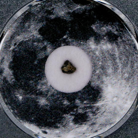 Moon Rock Lunar Meteorite Bechar 003 Algerian Sahara Desert Discovered 2022 COA