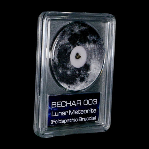 Moon Rock Lunar Meteorite Bechar 003 Algerian Sahara Desert Discovered 2022 COA