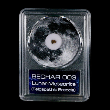 Moon Rock Lunar Meteorite Bechar 003 Algerian Sahara Desert Discovered 2022 COA