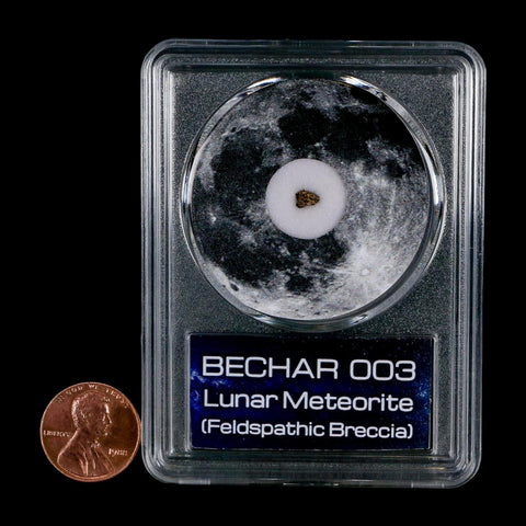 Moon Rock Lunar Meteorite Bechar 003 Algerian Sahara Desert Discovered 2022 COA