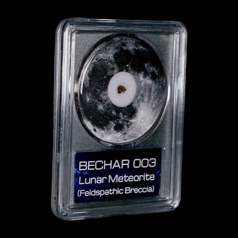 Moon Rock Lunar Meteorite Bechar 003 Algerian Sahara Desert Discovered 2022 COA