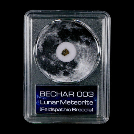Moon Rock Lunar Meteorite Bechar 003 Algerian Sahara Desert Discovered 2022 COA