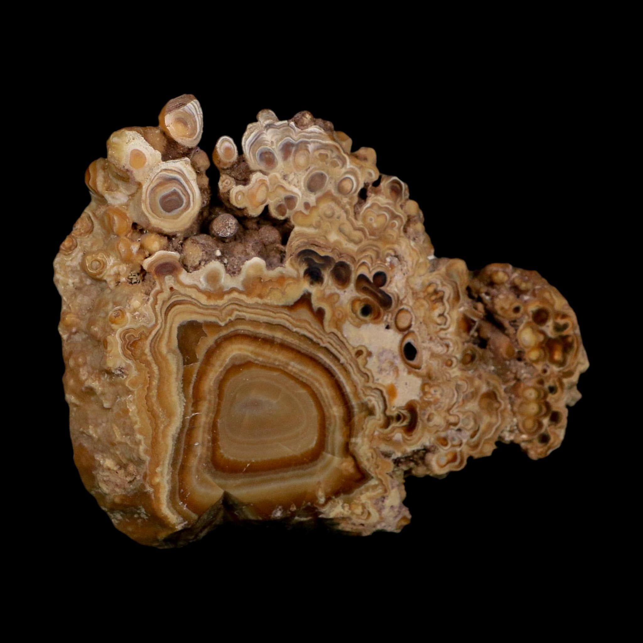 4.4" Aragonite Stalactite Slice Cave Calcite Crystal Mineral Specimen Morocco