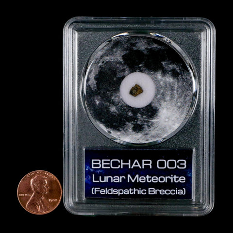 Moon Rock Lunar Meteorite Bechar 003 Algerian Sahara Desert Discovered 2022 COA