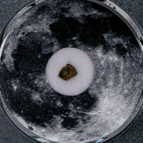 Moon Rock Lunar Meteorite Bechar 003 Algerian Sahara Desert Discovered 2022 COA