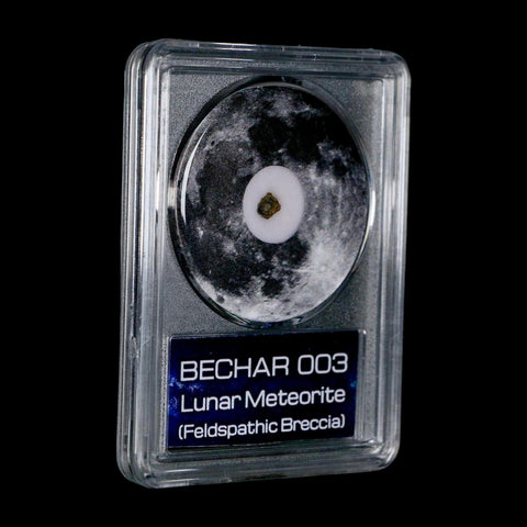 Moon Rock Lunar Meteorite Bechar 003 Algerian Sahara Desert Discovered 2022 COA