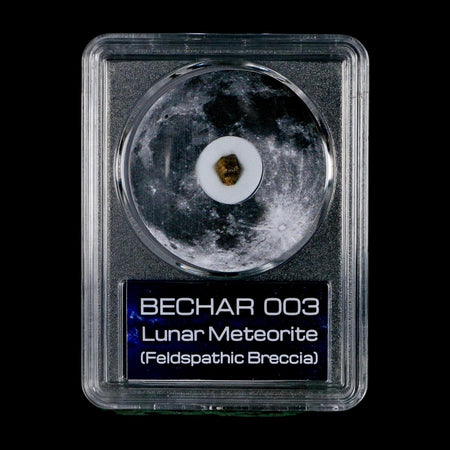 Moon Rock Lunar Meteorite Bechar 003 Algerian Sahara Desert Discovered 2022 COA