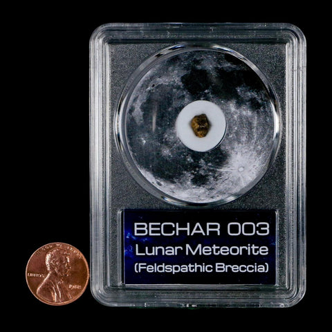 Moon Rock Lunar Meteorite Bechar 003 Algerian Sahara Desert Discovered 2022 COA