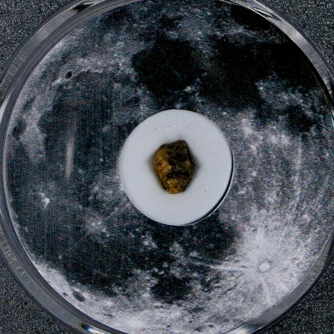 Moon Rock Lunar Meteorite Bechar 003 Algerian Sahara Desert Discovered 2022 COA