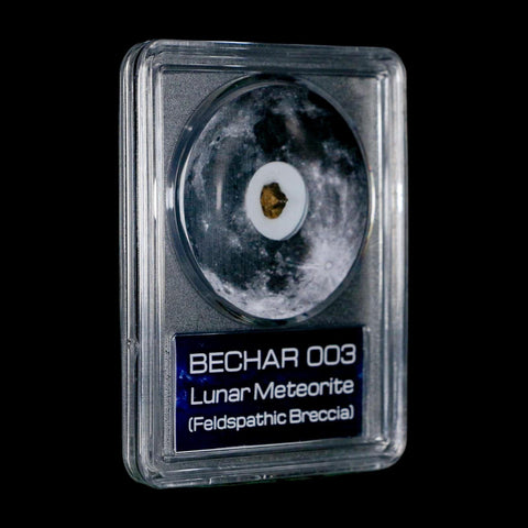 Moon Rock Lunar Meteorite Bechar 003 Algerian Sahara Desert Discovered 2022 COA