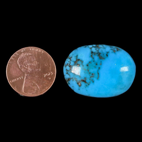 1.1" Natural Polished Teal Turquoise Gemstone Mineral Specimen Cab - Fossil Age Minerals
