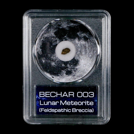 Moon Rock Lunar Meteorite Bechar 003 Algerian Sahara Desert Discovered 2022 COA