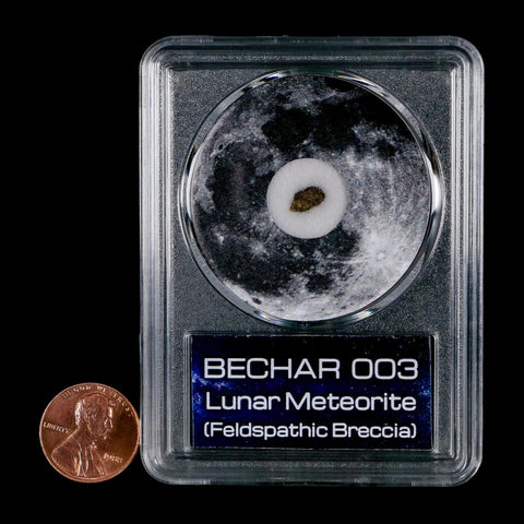 Moon Rock Lunar Meteorite Bechar 003 Algerian Sahara Desert Discovered 2022 COA