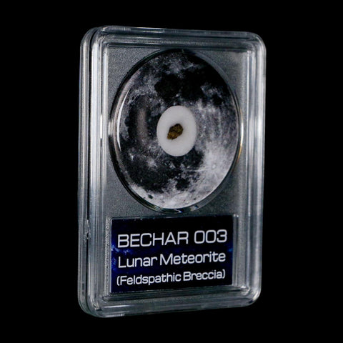Moon Rock Lunar Meteorite Bechar 003 Algerian Sahara Desert Discovered 2022 COA
