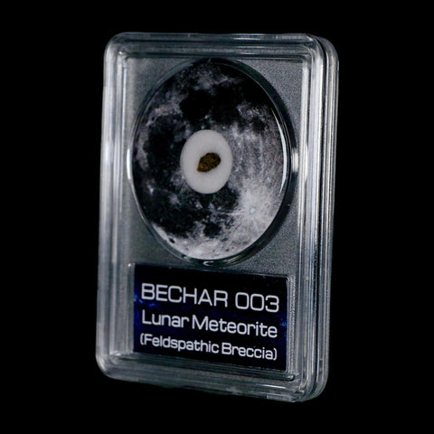 Moon Rock Lunar Meteorite Bechar 003 Algerian Sahara Desert Discovered 2022 COA