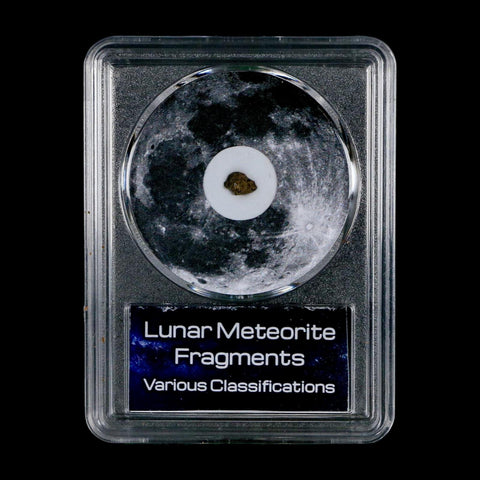 Moon Rock Lunar Meteorite Bechar 003 Algerian Sahara Desert Discovered 2022 COA