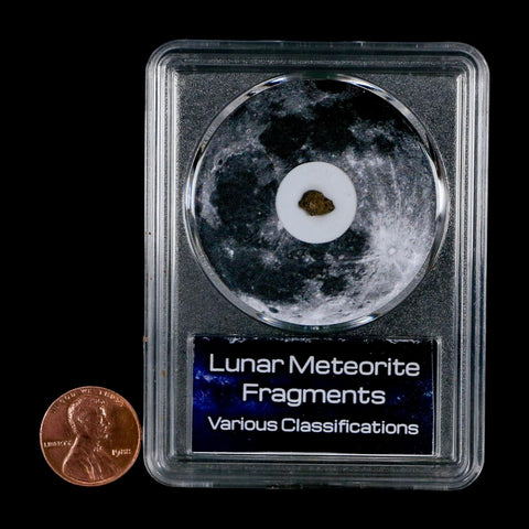 Moon Rock Lunar Meteorite Bechar 003 Algerian Sahara Desert Discovered 2022 COA