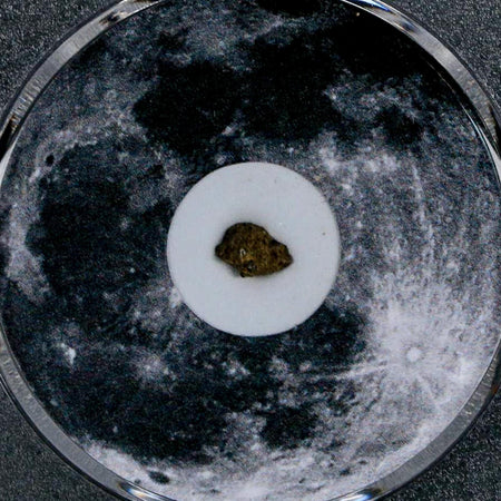 Moon Rock Lunar Meteorite Bechar 003 Algerian Sahara Desert Discovered 2022 COA