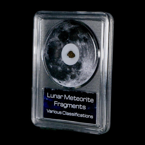 Moon Rock Lunar Meteorite Bechar 003 Algerian Sahara Desert Discovered 2022 COA