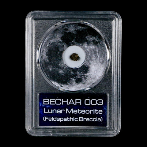 Moon Rock Lunar Meteorite Bechar 003 Algerian Sahara Desert Discovered 2022 COA