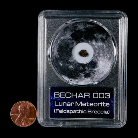 Moon Rock Lunar Meteorite Bechar 003 Algerian Sahara Desert Discovered 2022 COA