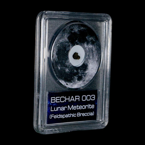 Moon Rock Lunar Meteorite Bechar 003 Algerian Sahara Desert Discovered 2022 COA