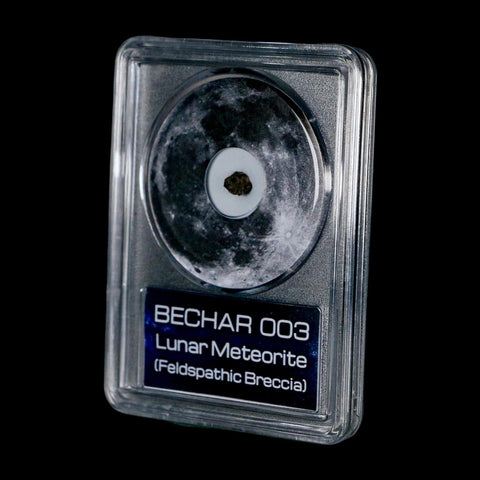 Moon Rock Lunar Meteorite Bechar 003 Algerian Sahara Desert Discovered 2022 COA