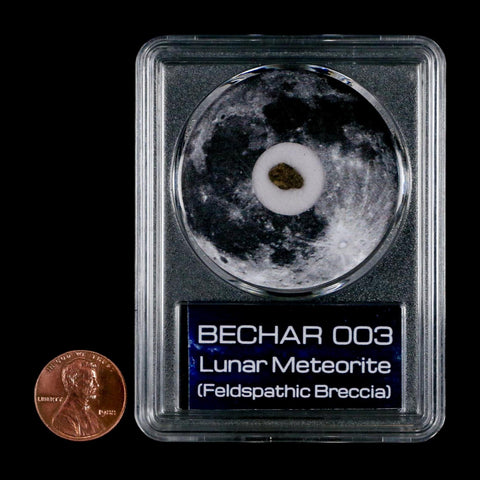 Moon Rock Lunar Meteorite Bechar 003 Algerian Sahara Desert Discovered 2022 COA