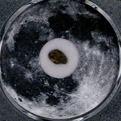 Moon Rock Lunar Meteorite Bechar 003 Algerian Sahara Desert Discovered 2022 COA