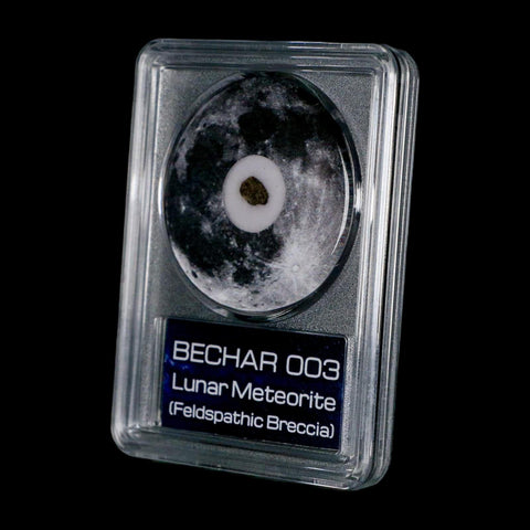 Moon Rock Lunar Meteorite Bechar 003 Algerian Sahara Desert Discovered 2022 COA