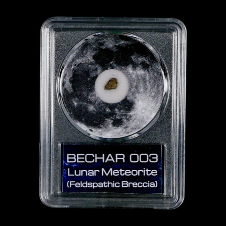 Moon Rock Lunar Meteorite Bechar 003 Algerian Sahara Desert Discovered 2022 COA
