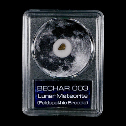 Moon Rock Lunar Meteorite Bechar 003 Algerian Sahara Desert Discovered 2022 COA