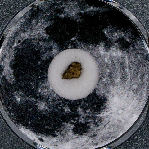 Moon Rock Lunar Meteorite Bechar 003 Algerian Sahara Desert Discovered 2022 COA