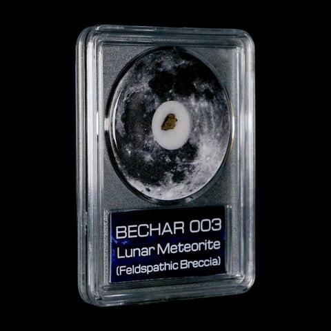 Moon Rock Lunar Meteorite Bechar 003 Algerian Sahara Desert Discovered 2022 COA
