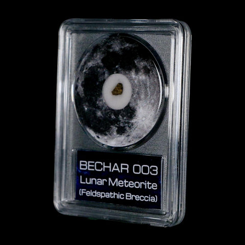 Moon Rock Lunar Meteorite Bechar 003 Algerian Sahara Desert Discovered 2022 COA