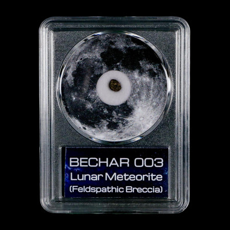 Moon Rock Lunar Meteorite Bechar 003 Algerian Sahara Desert Discovered 2022 COA
