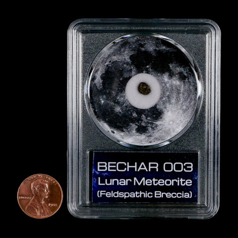 Moon Rock Lunar Meteorite Bechar 003 Algerian Sahara Desert Discovered 2022 COA