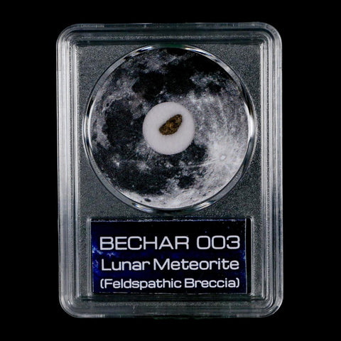 Moon Rock Lunar Meteorite Bechar 003 Algerian Sahara Desert Discovered 2022 COA