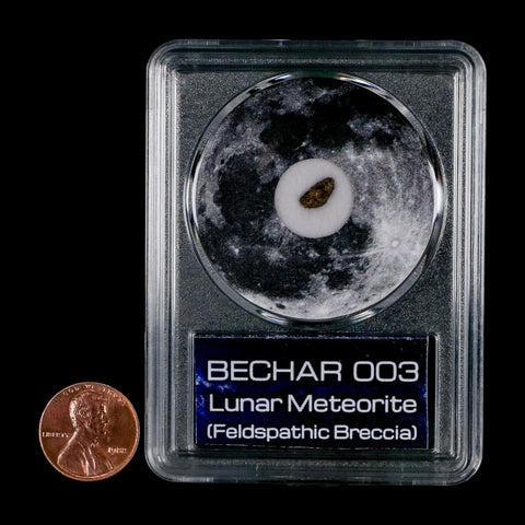 Moon Rock Lunar Meteorite Bechar 003 Algerian Sahara Desert Discovered 2022 COA